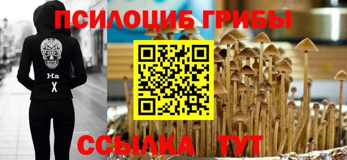 Галлюциногенные грибы Magic Shrooms Ливны