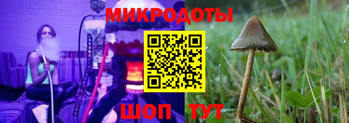 Ливны  Галлюциногенные грибы мицелий  купить наркотик  Псилоцибиновые грибы ЛСД  Вход с VPN 